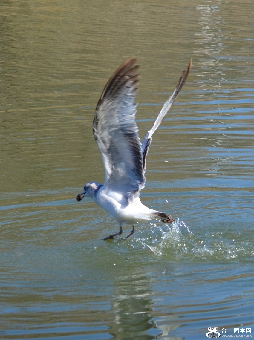 DSC_5375_7.jpg