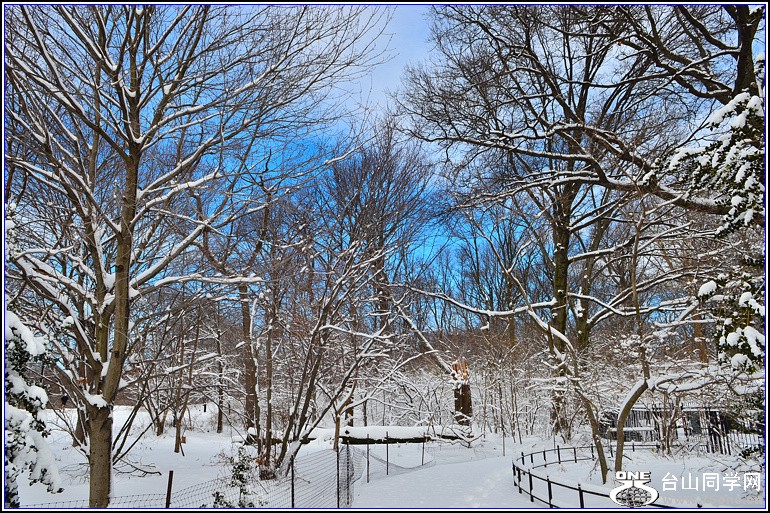 DSC_1963.jpg