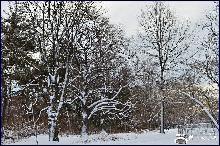 DSC_1959.jpg