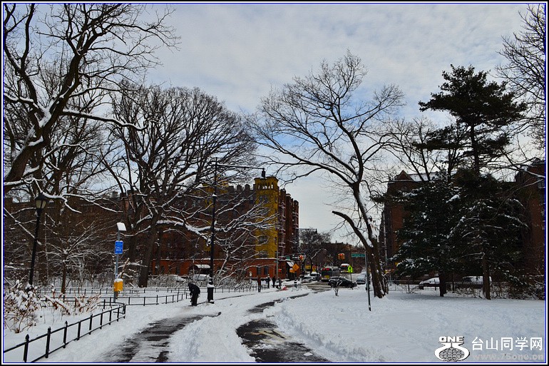 DSC_1966.jpg