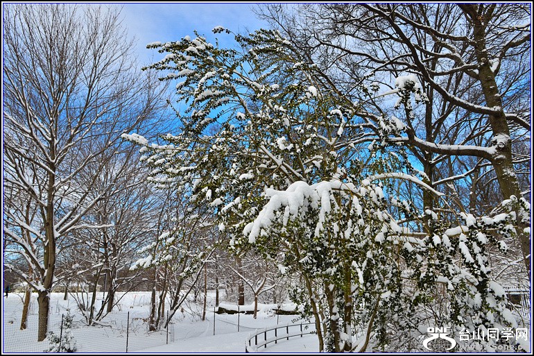 DSC_1962.jpg