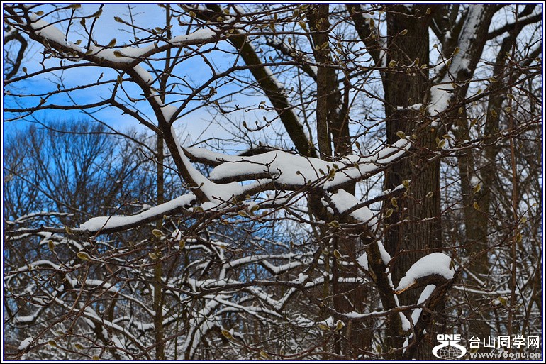 DSC_1953.jpg