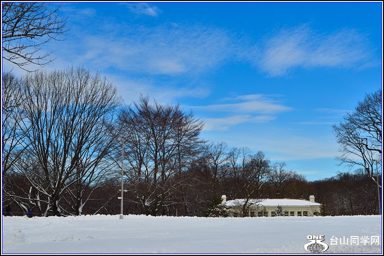 DSC_1967.jpg