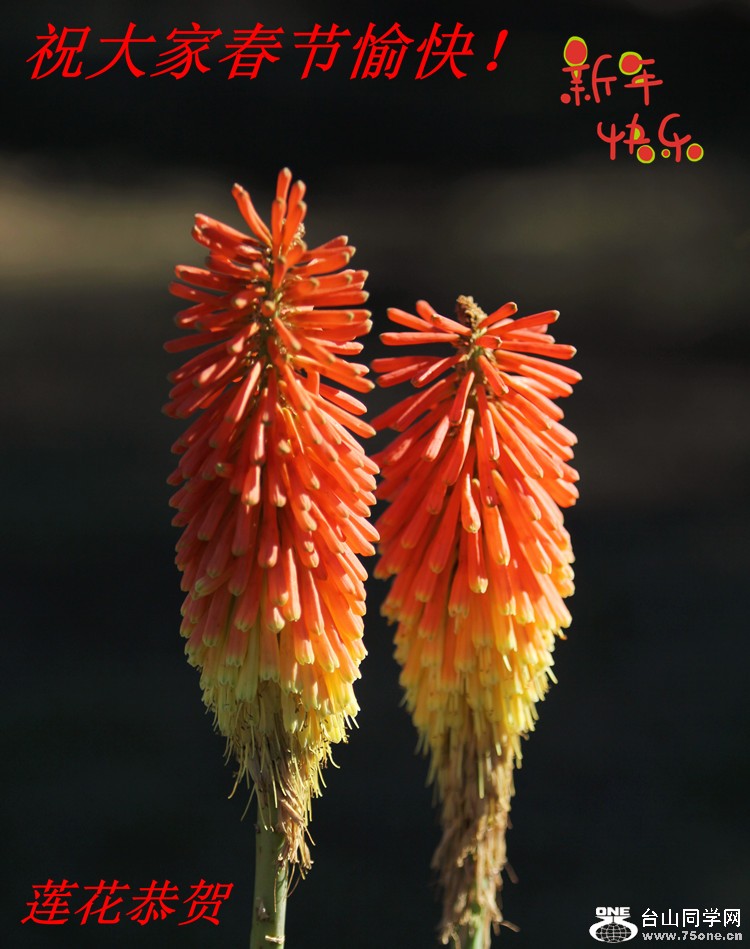 IMG_4042_2.jpg