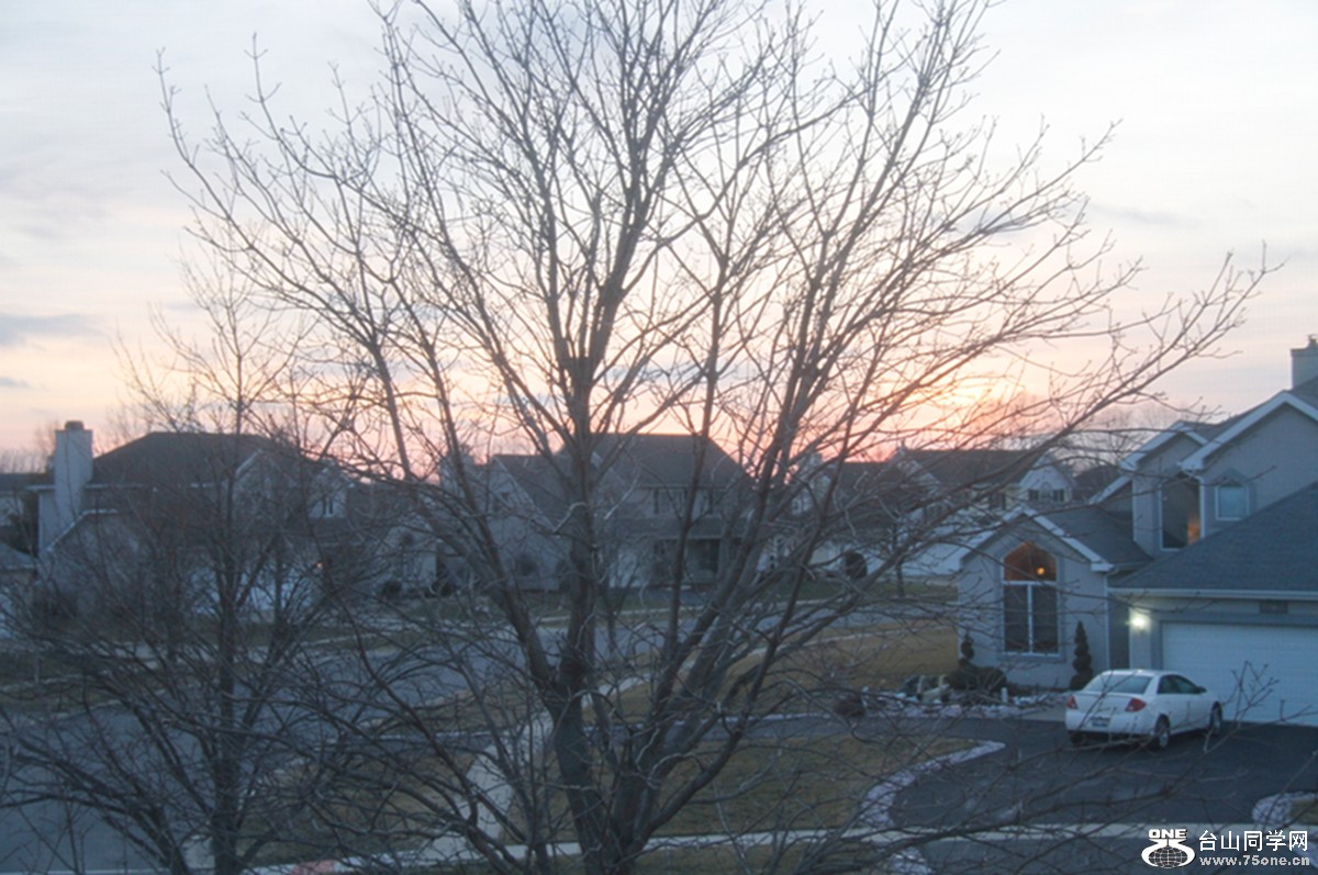 _MG_2631.jpg