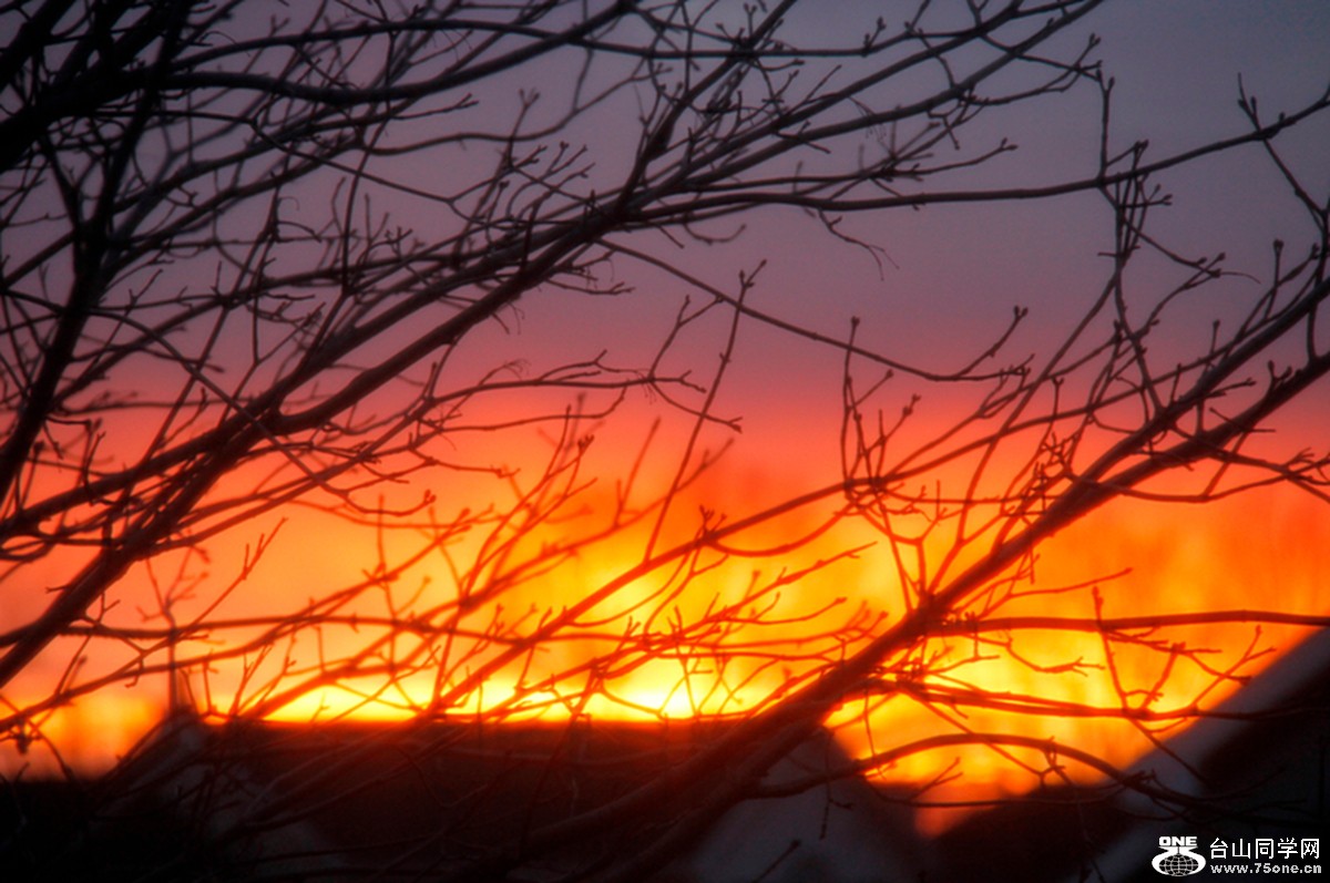 _MG_2649.jpg