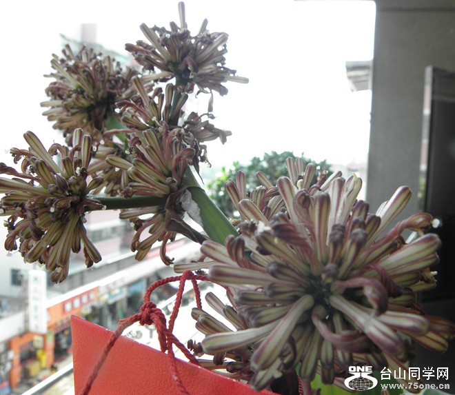 P1010151_.jpg