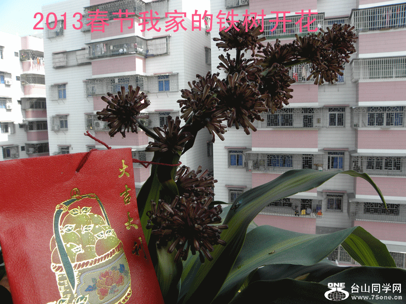 P1010148_.gif