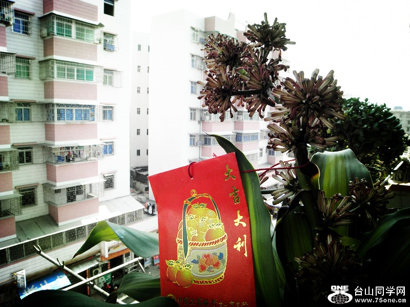 P1010149_.jpg