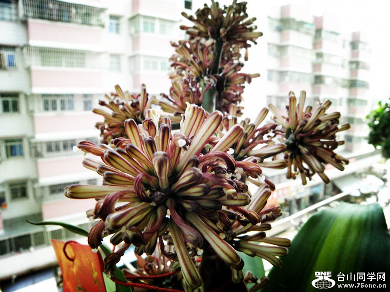 P1010150_.jpg