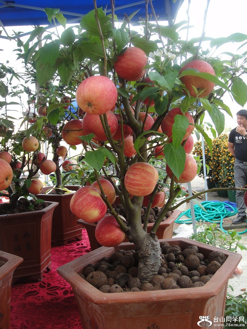 DSC06405_.jpg