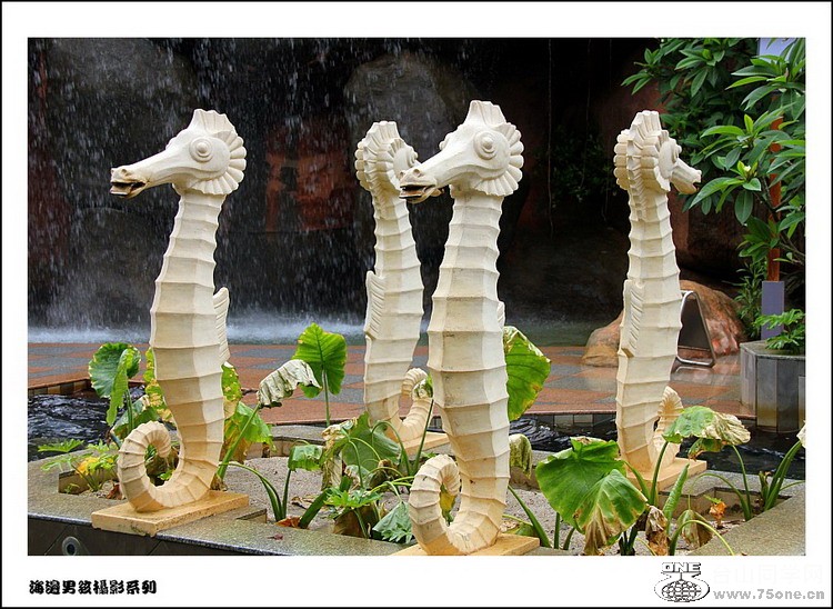 IMG_3672_conew1.jpg