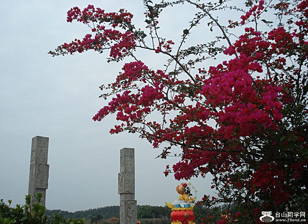 DSC00170.JPG