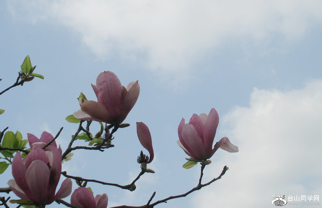 DSC00125.jpg