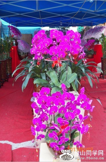 p129.jpg