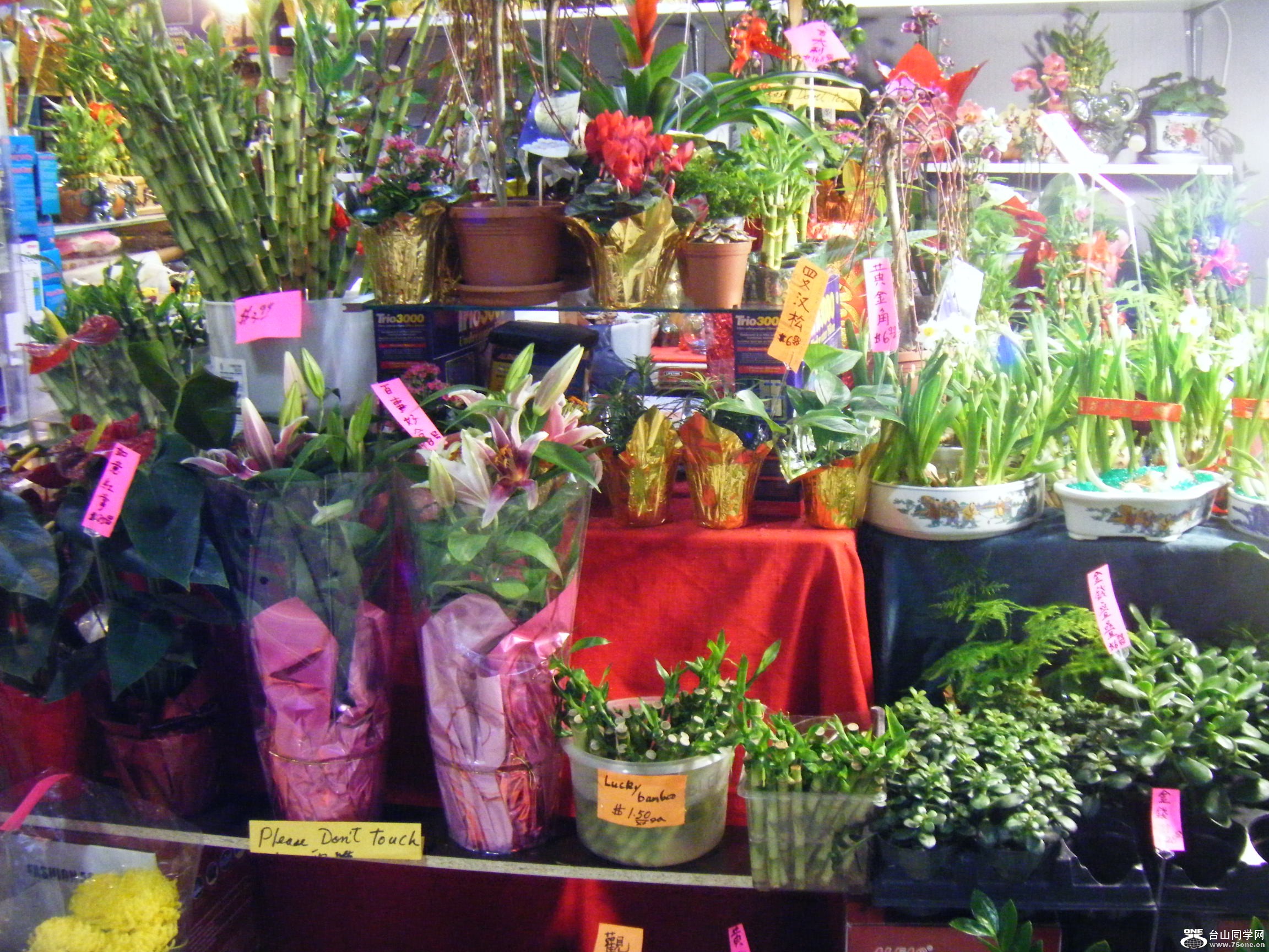 ӭӸ 047.JPG
