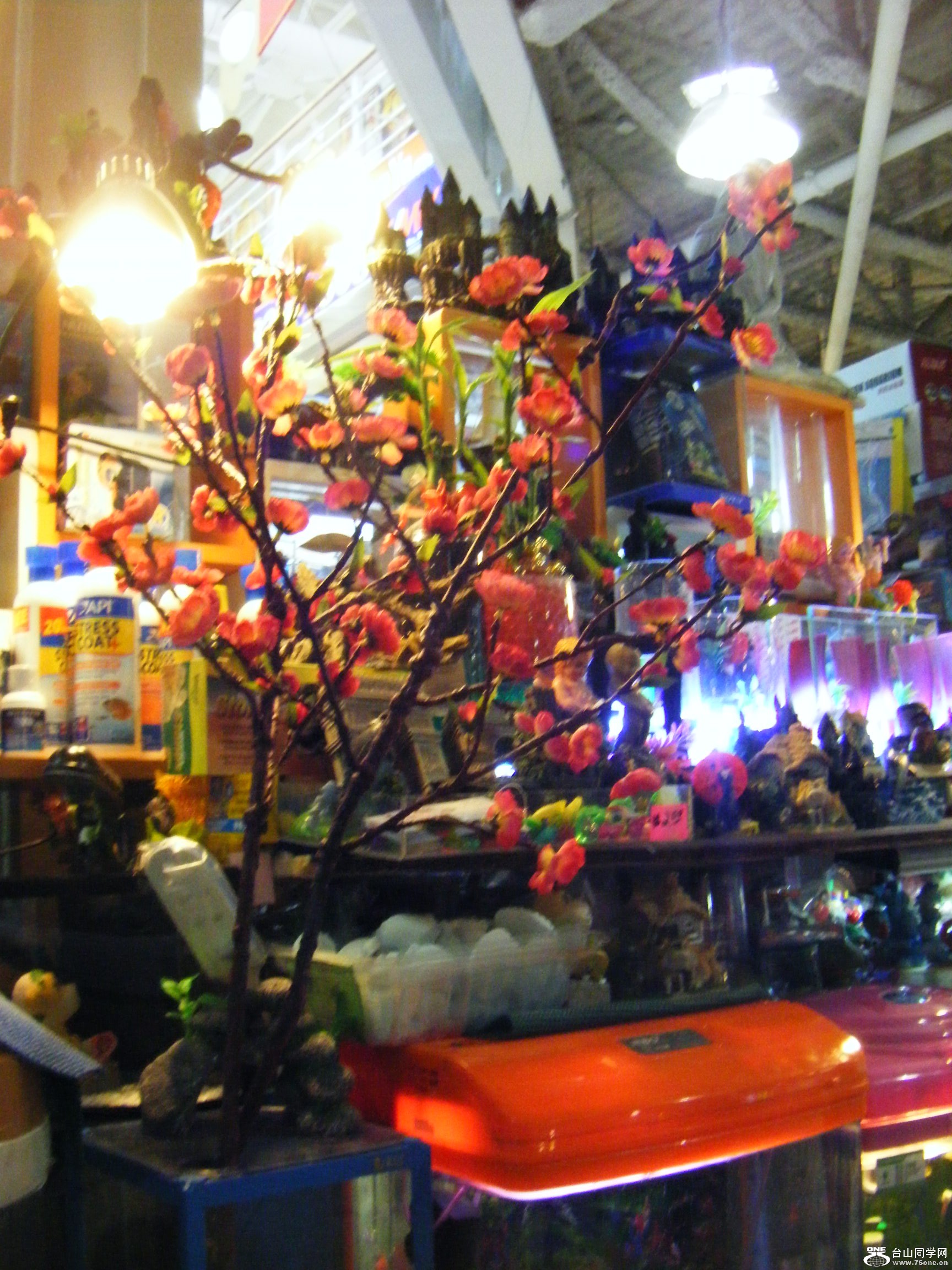 ӭӸ 044.JPG