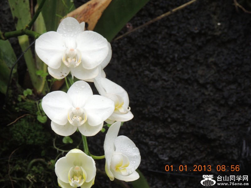 2013 vacation 689_.jpg