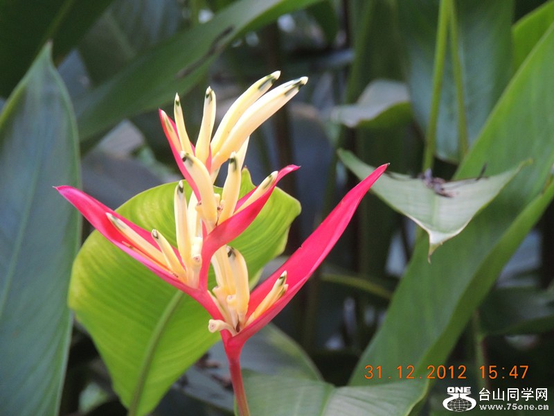 2013 vacation 359_.jpg
