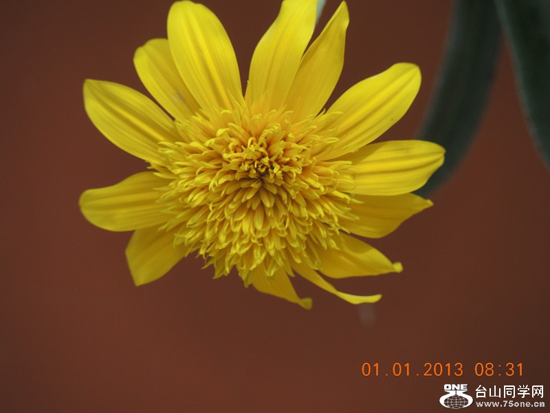 2013 vacation 608_.jpg