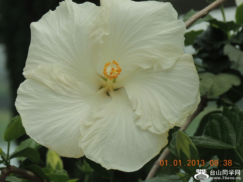 2013 vacation 635_.jpg
