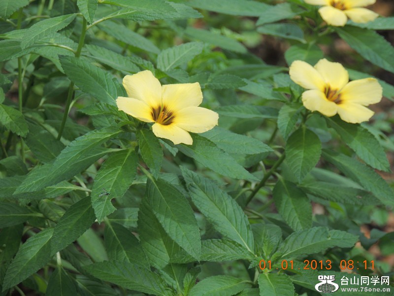 2013 vacation 579_.jpg
