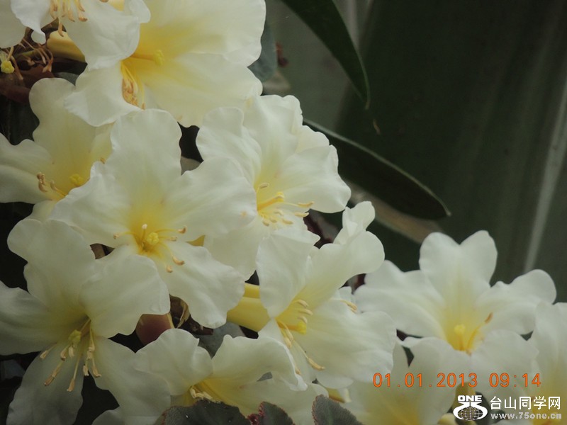 2013 vacation 746_.jpg