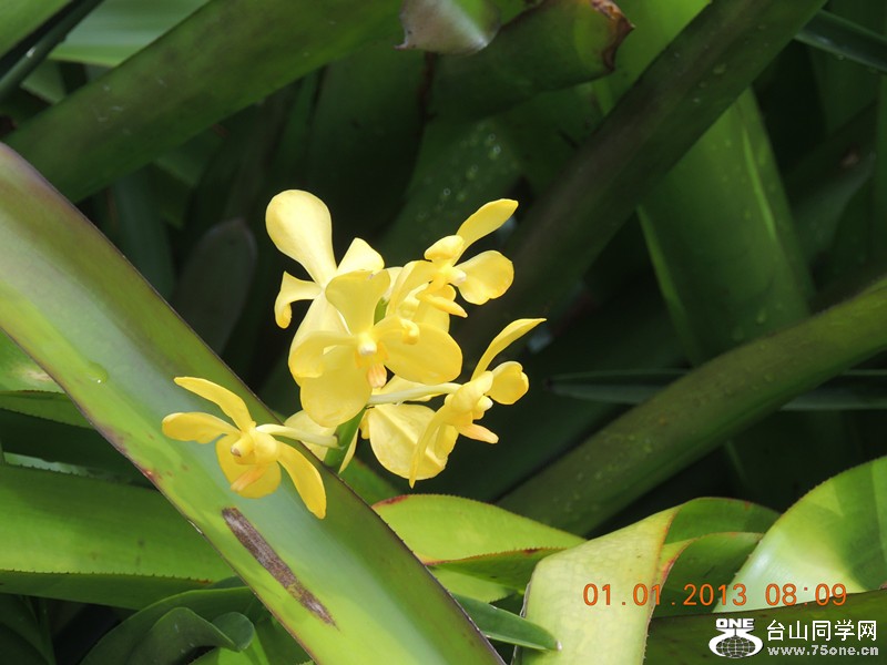 2013 vacation 575_.jpg