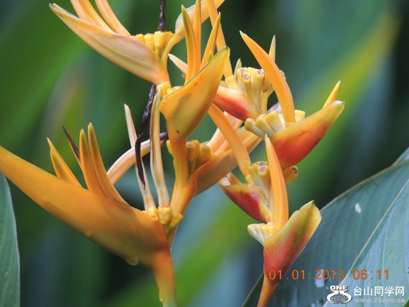 2013 vacation 486_.jpg