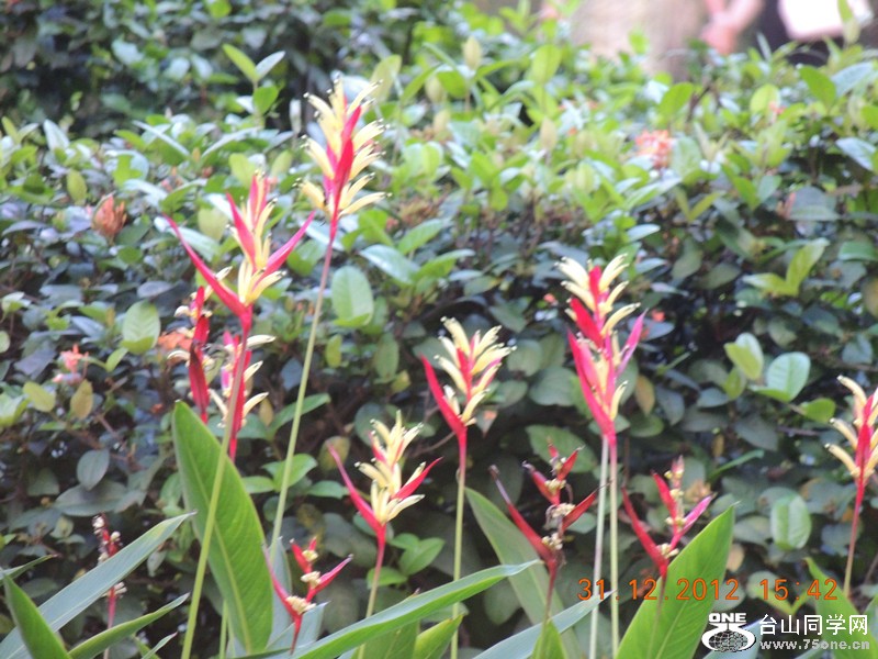 2013 vacation 352_.jpg