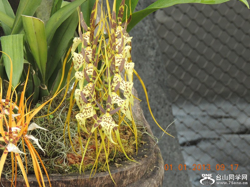 2013 vacation 753_.jpg