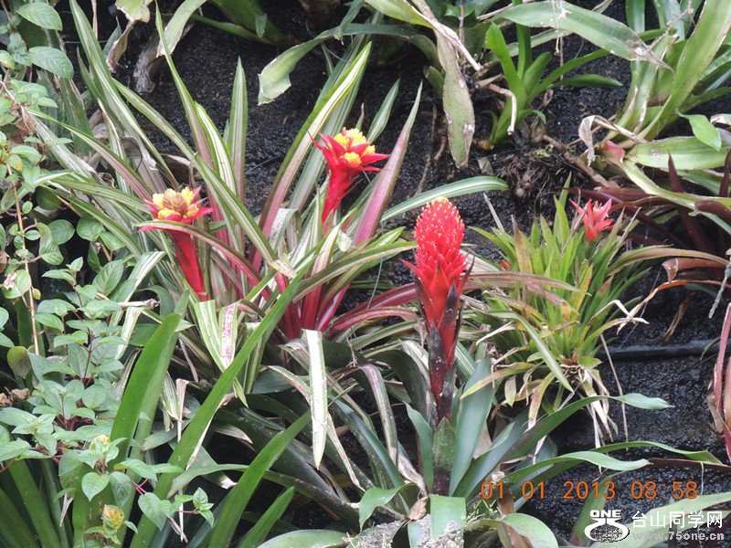 2013 vacation 697_.jpg