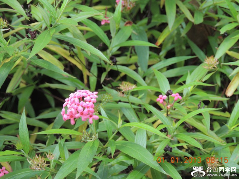 2013 vacation 583_.jpg