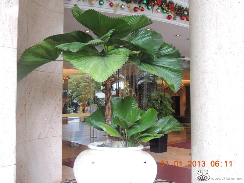 2013 vacation 485_.jpg