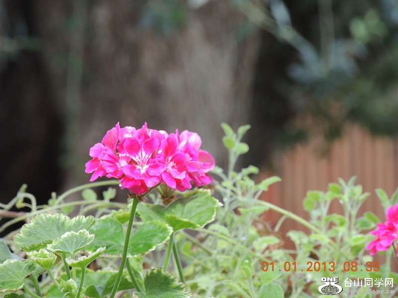 2013 vacation 626_.jpg