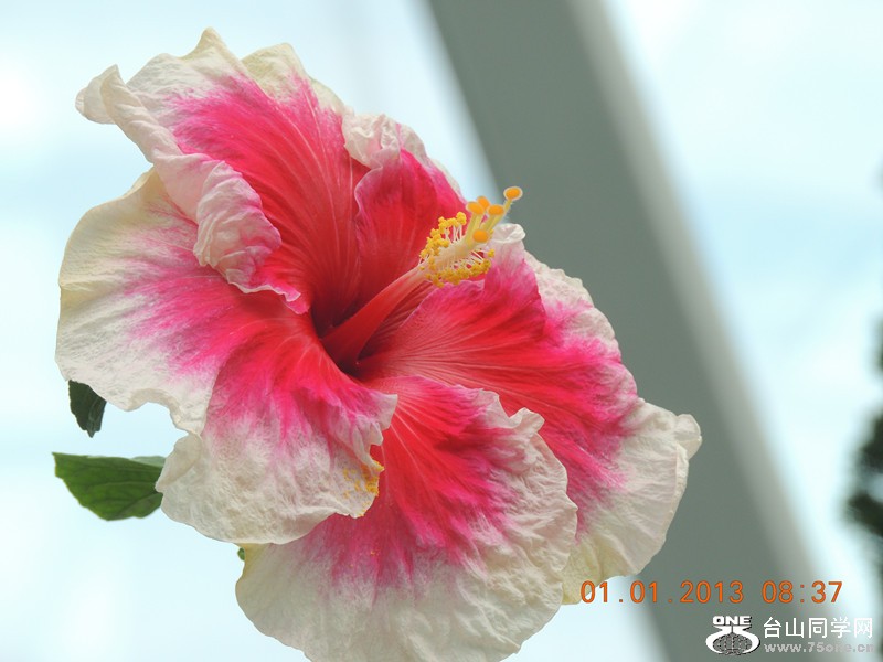 2013 vacation 632_.jpg