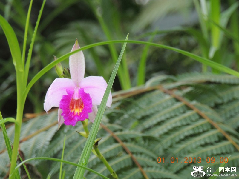 2013 vacation 703_.jpg