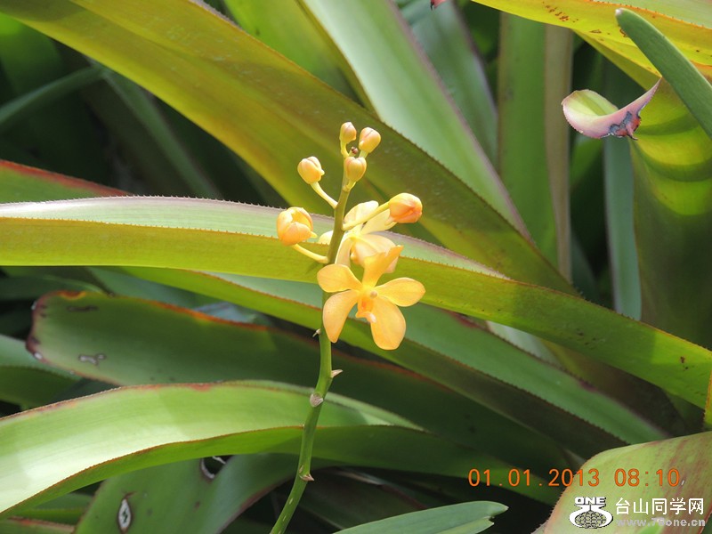 2013 vacation 577_.jpg