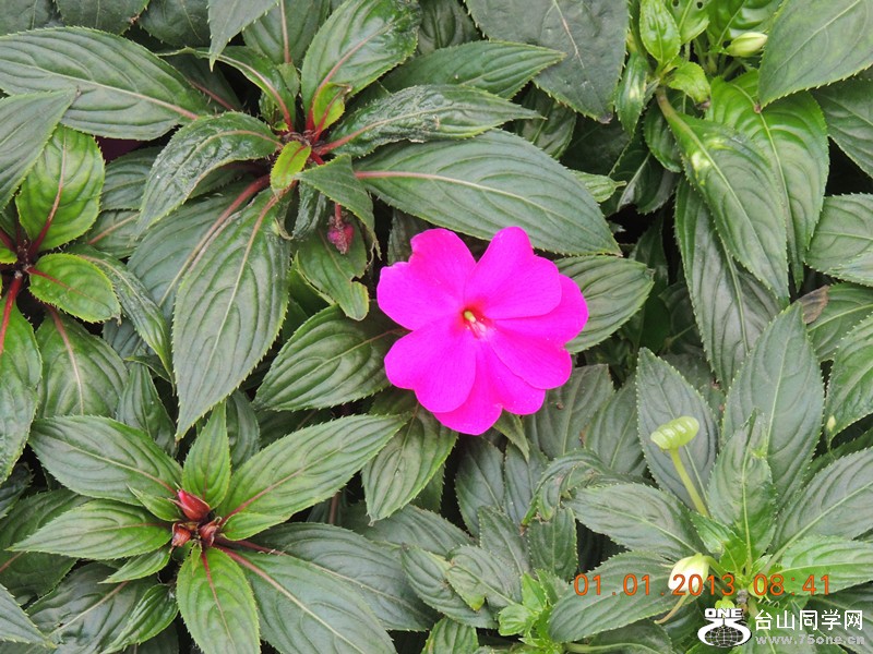 2013 vacation 656_.jpg