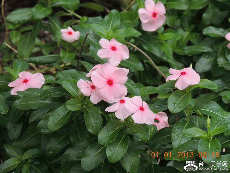 2013 vacation 580_.jpg