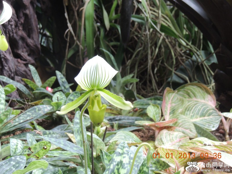 2013 vacation 773_.jpg