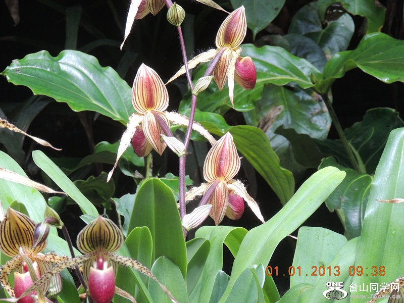 2013 vacation 779_.jpg