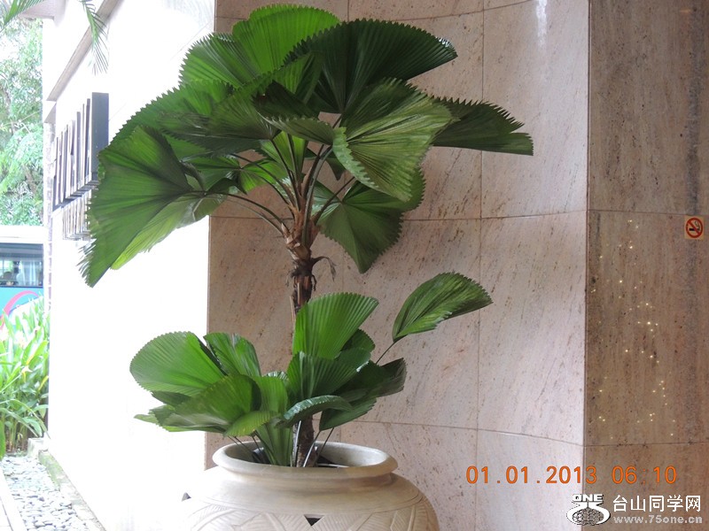 2013 vacation 484_.jpg