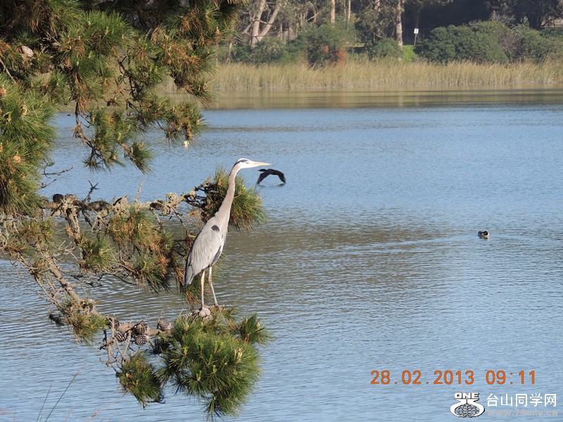 bird 1240_.jpg