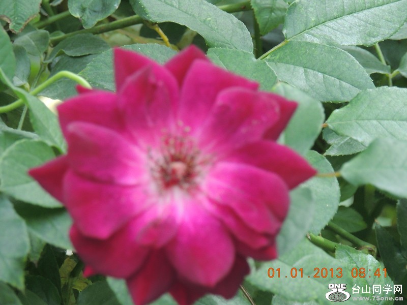 2013 vacation 655_.jpg
