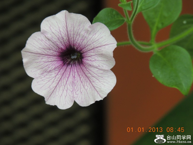 2013 vacation 672_.jpg