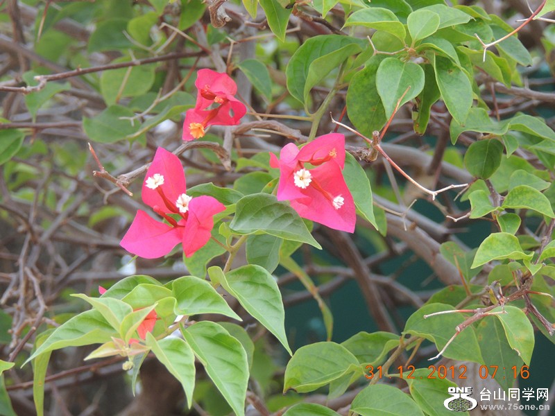 2013 vacation 328_.jpg