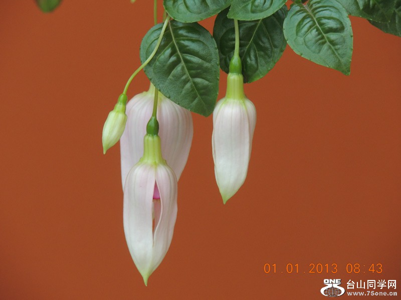 2013 vacation 663_.jpg