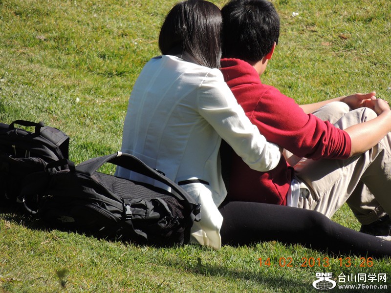live pictures #3 1047_.jpg