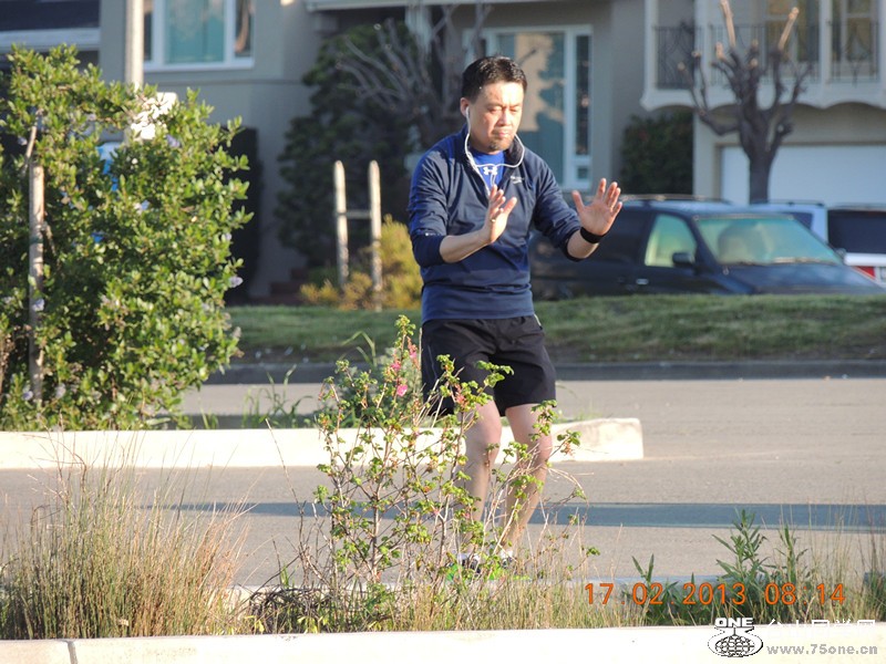 live pictures #3 1054_.jpg